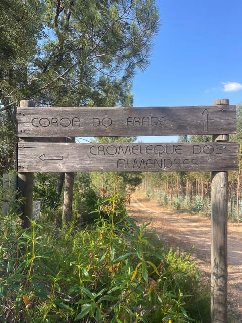 From Montemor or Évora: Guided Hike to Almendres Megalithic - The Experience: Guides, Views, and Knowledge Sharing