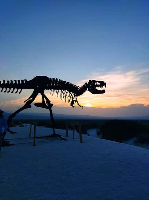 From Monterrey: Tour a Cuatro Ciénegas one day tour - Practical Details: What’s Included and What to Bring