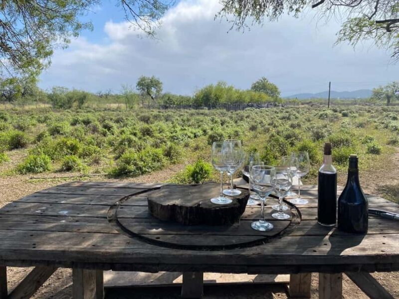 From Monterrey: Tour of the Magical Town of Higueras - Explore Higueras, Nuevo León’s Cultural Treasure