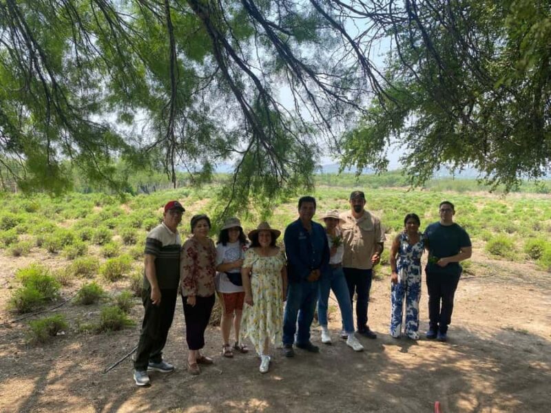 From Monterrey: Tour of the Magical Town of Higueras - Tasting Local Wine at the Vineyard