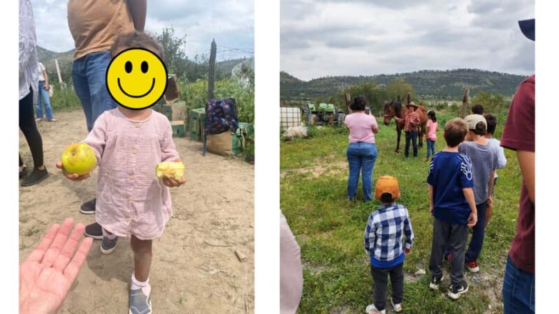 From Monterrey: Visits to the Organic Gardens - Key Points