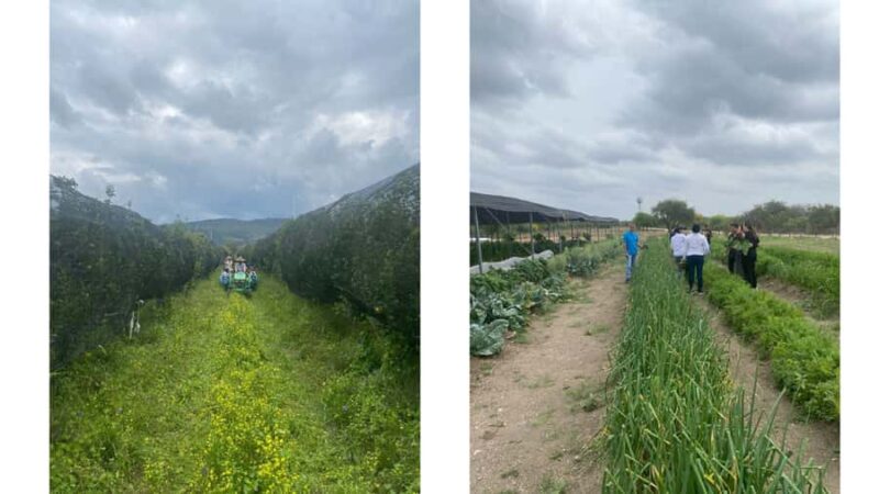 From Monterrey: Visits to the Organic Gardens - Animal Encounters and Farm Activities