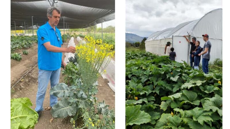 From Monterrey: Visits to the Organic Gardens - Practical Details and Recommendations