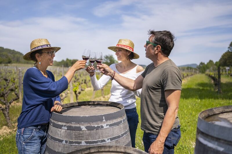 From Montpellier: Half-Day Vineyard & Pic Saint-Loup Tour - Key Points