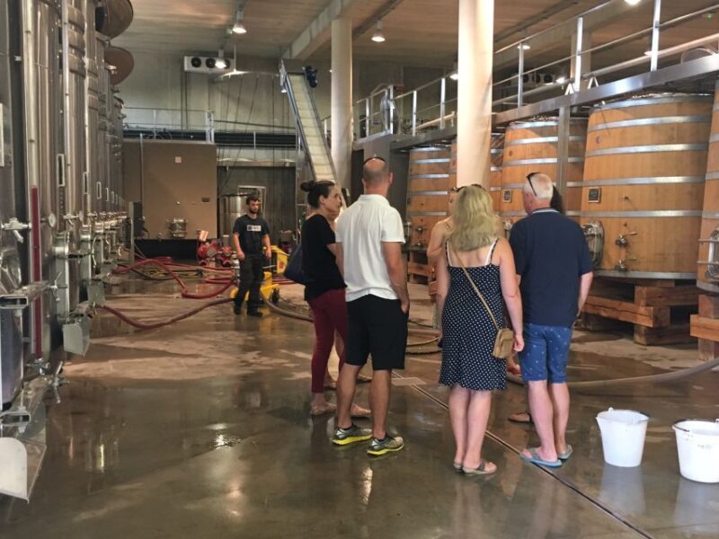 From Montpellier: Half-Day Vineyard & Pic Saint-Loup Tour - Scenic Drive through the Languedoc Countryside