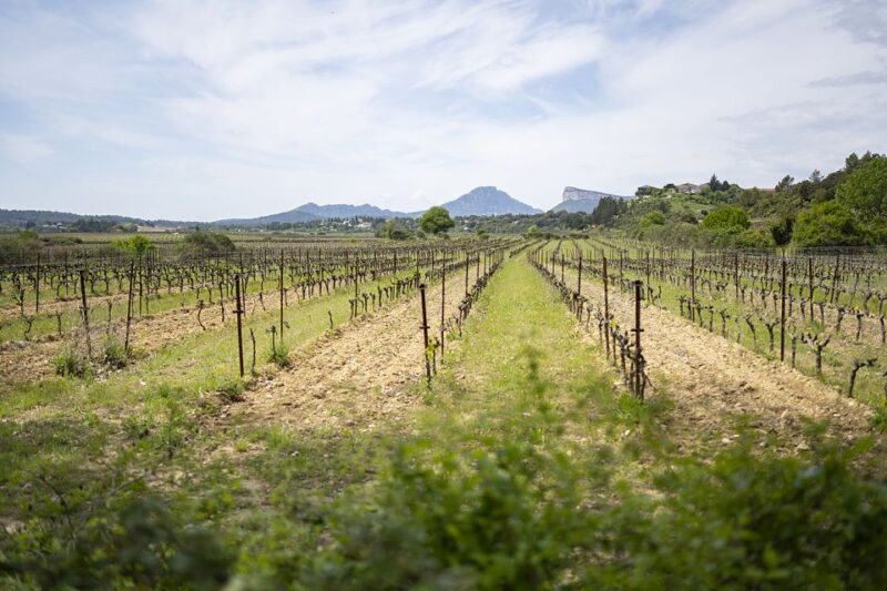 From Montpellier: Half-Day Vineyard & Pic Saint-Loup Tour - Pic Saint-Loup: A Picturesque Landmark