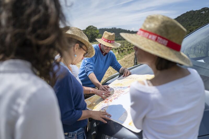 From Montpellier: Half-Day Vineyard & Pic Saint-Loup Tour - Logistics and Practical Details