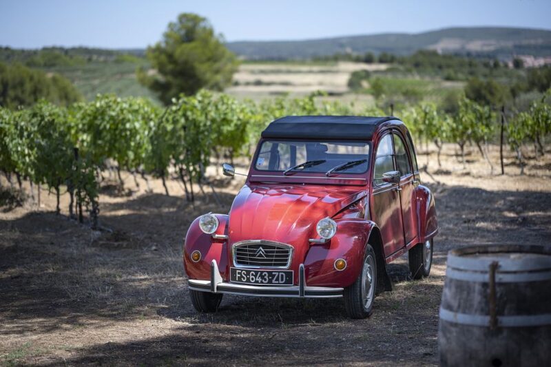 From Montpellier: Winery Tour in a Vintage Citroën 2CV - Visiting the First Winery: Guided Tour and Cellar Visit