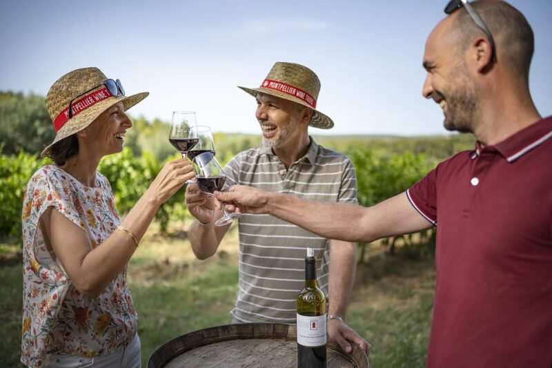 From Montpellier: Winery Tour in a Vintage Citroën 2CV - Practical Details and Booking Flexibility