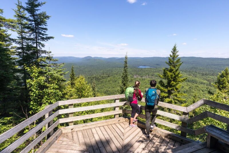 From Montreal: Mont-Tremblant National Park Hiking Day Trip - Enjoying a Picnic Lunch Amidst Nature’s Calm
