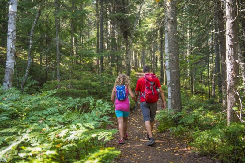From Montreal: Mont-Tremblant National Park Hiking Day Trip - Summary of What Makes This Tour Stand Out