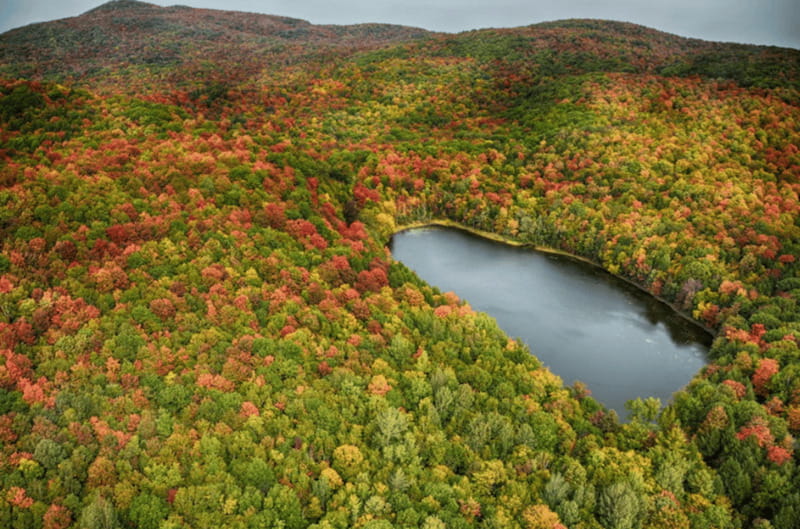 From Montreal: Scenic Montérégie Helicopter Tour - The Route: From Montreal Over Natural Reserves to Urban Landmarks
