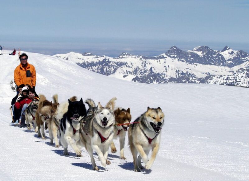 From Montreux: Glacier 3000 Day Trip - Snow Activities and the Snow Playground