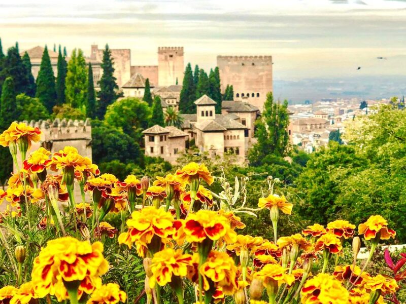 From Motril: Full-Day Private Tour of Alhambra - Why This Tour Stands Out from Other Options