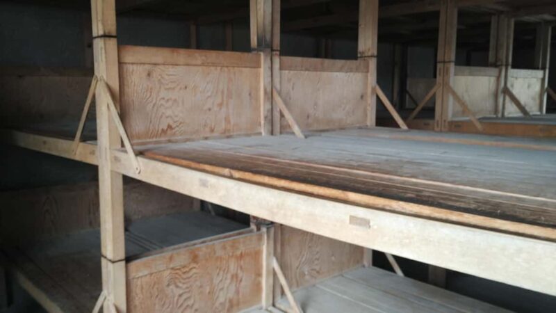 From Munich to Dachau: Guided tour of the Dachau Concentration Camp - Meeting Point at Marienplatz and Logistics Details