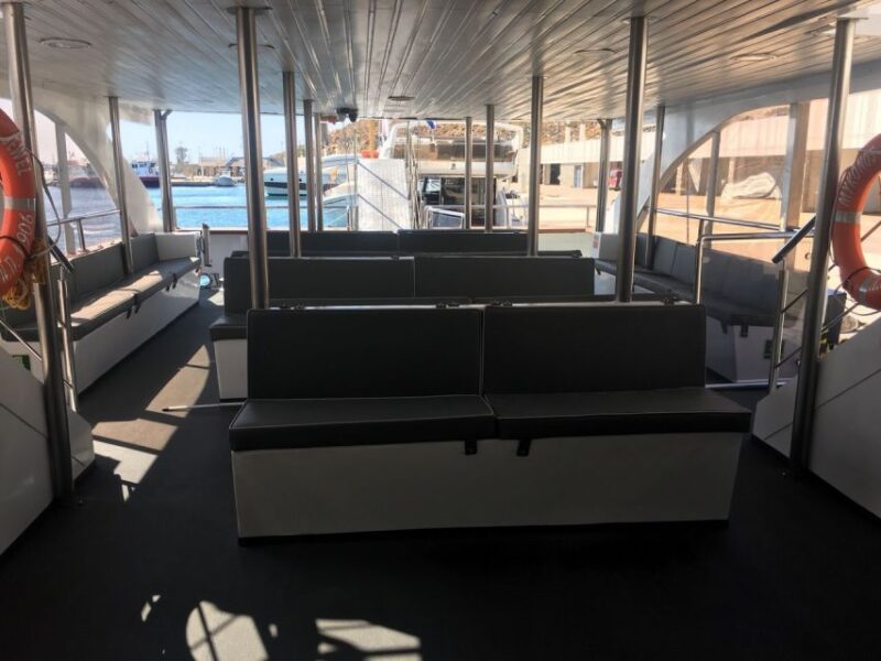 From Mykonos: Paradise Beach Boat Trip - Who Should Consider This Tour?