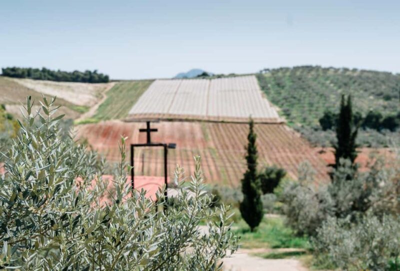 From Nafplion: Argos Castle & Olive Tasting Experience - Key Points