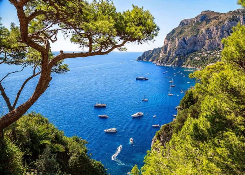 From Naples: Capri Private Boat Tour Exclusive Experience - Practical Details and Booking Process