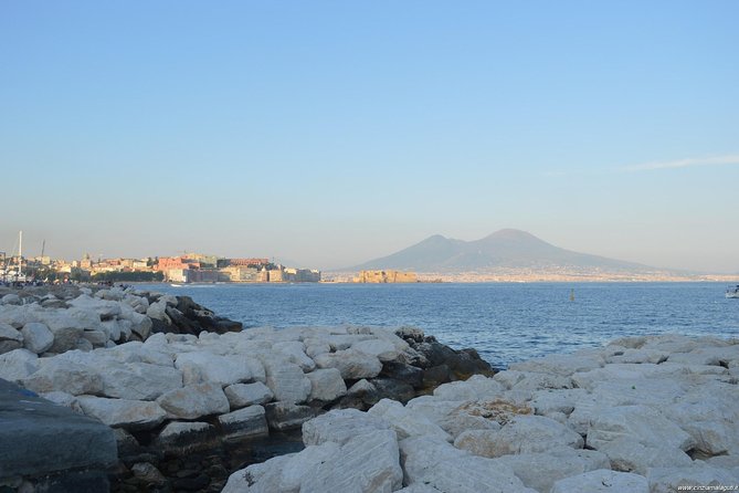 From Naples Cruise or trains Terminal: Half-Day Pompeii Tour - Why This Tour Works Well for Cruise Passengers