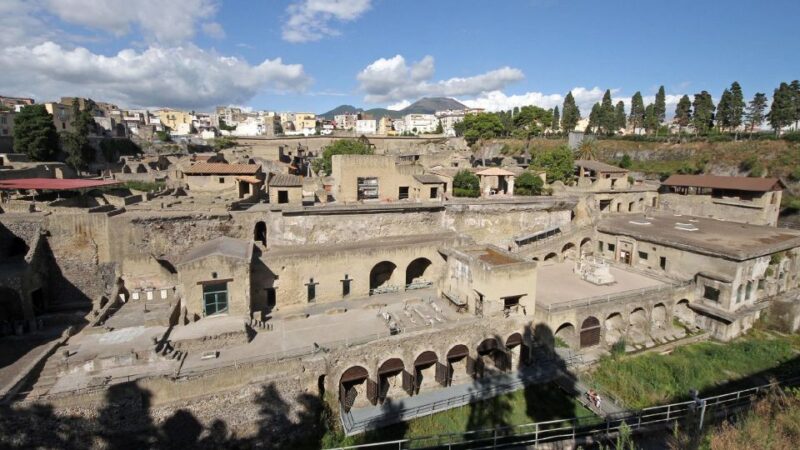 From Naples: Day Trip to Herculaneum with skip the line - Family-Friendly Aspects and Pricing for Children
