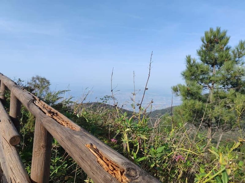 From Naples: Explore Herculaneum Ruins and Vesuvius - Convenient Pickup Points in Naples