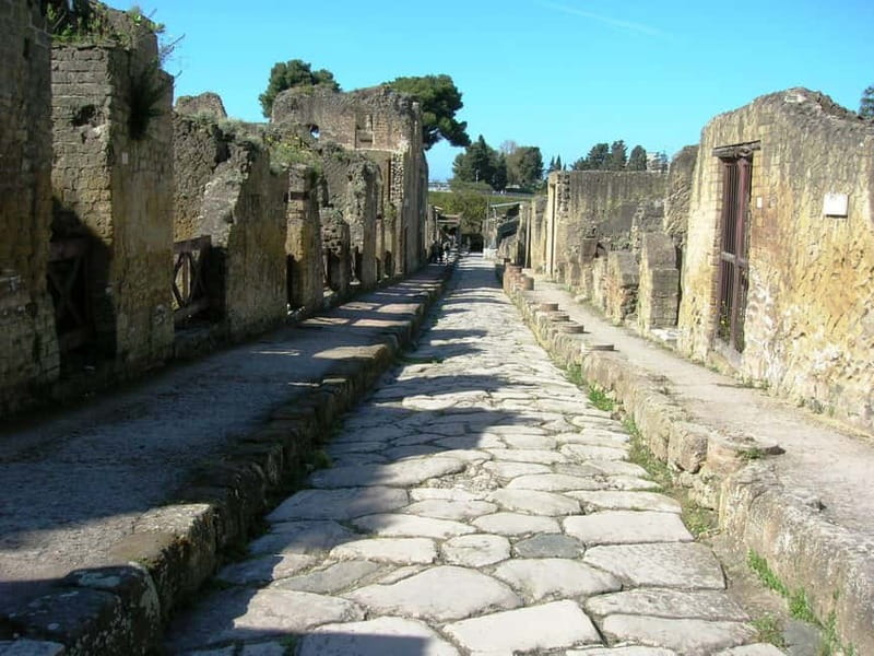 From Naples: Explore Herculaneum Ruins and Vesuvius - Climbing Mount Vesuvius for Spectacular Views