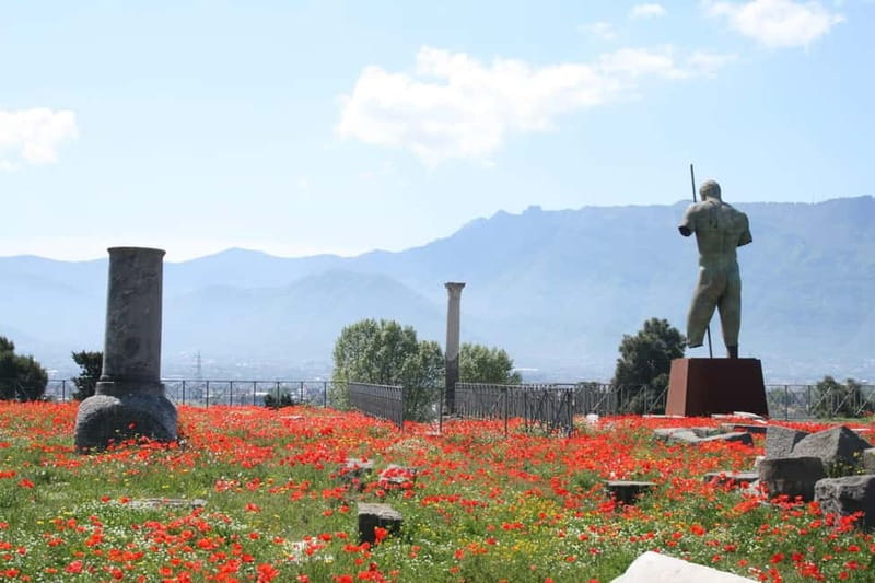 From Naples: Explore Pompeii and Vesuvius by bus - Recognizing the limitations of this tour