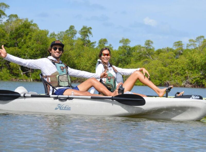 From Naples, FL: Marco Island Mangroves Kayak or Paddle Tour - Discover the Unique Kayak or Paddleboard Tour from Naples to Marco Island’s Mangrove Tunnels