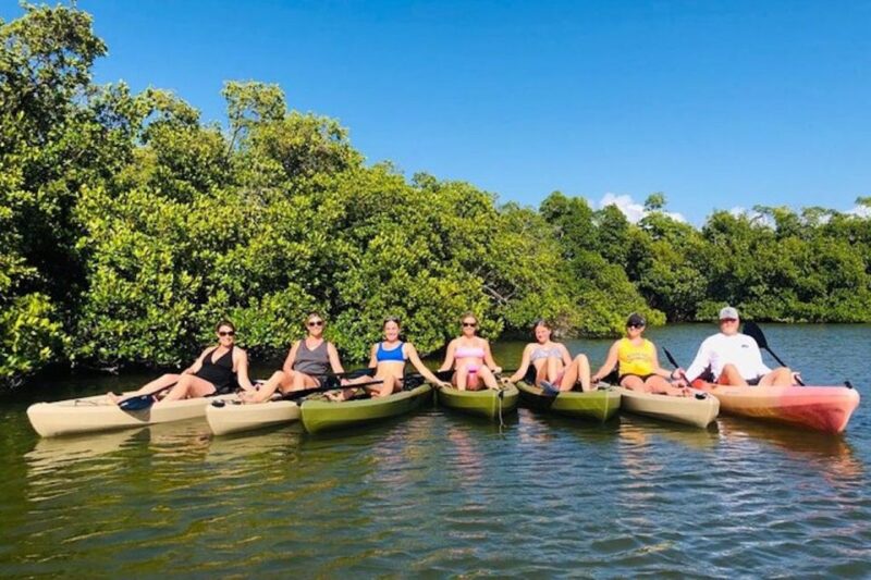 From Naples, FL: Marco Island Mangroves Kayak or Paddle Tour - Weather Considerations and Physical Requirements