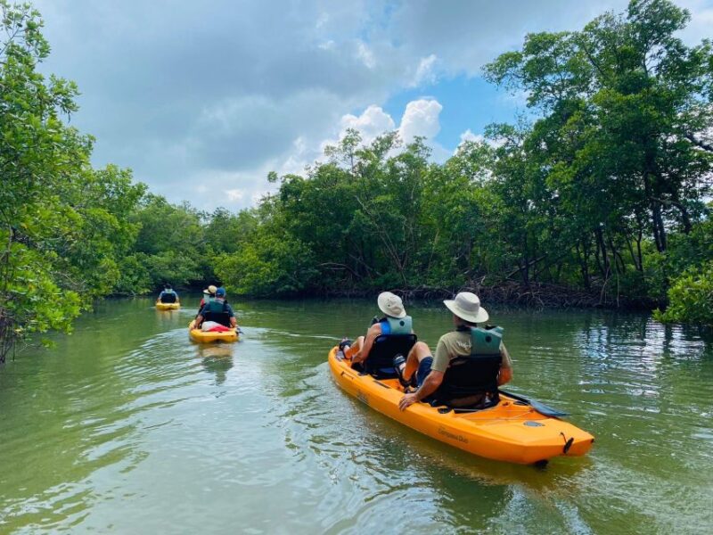 From Naples, FL: Marco Island Mangroves Kayak or Paddle Tour - Why This Tour Stands Out in the Naples and Marco Island Area