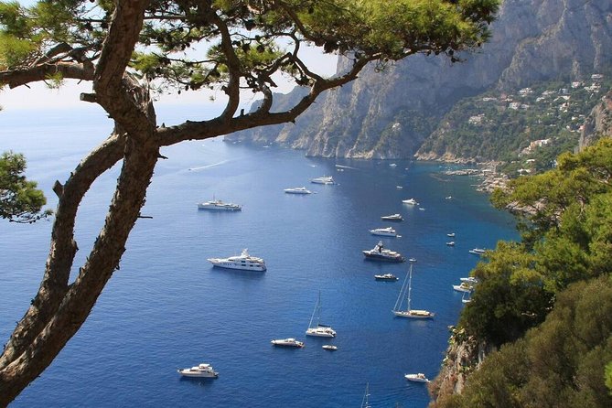 From Naples: Full-Day Capri Island and Blue Grotto Tour - Weather and Sea Conditions Impact the Experience