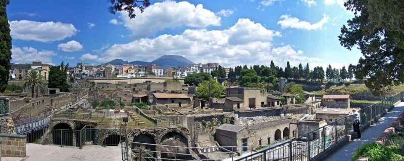 From Naples: Half-Day Herculaneum Tour with Lunch - Starting Point and Transportation Logistics in Naples