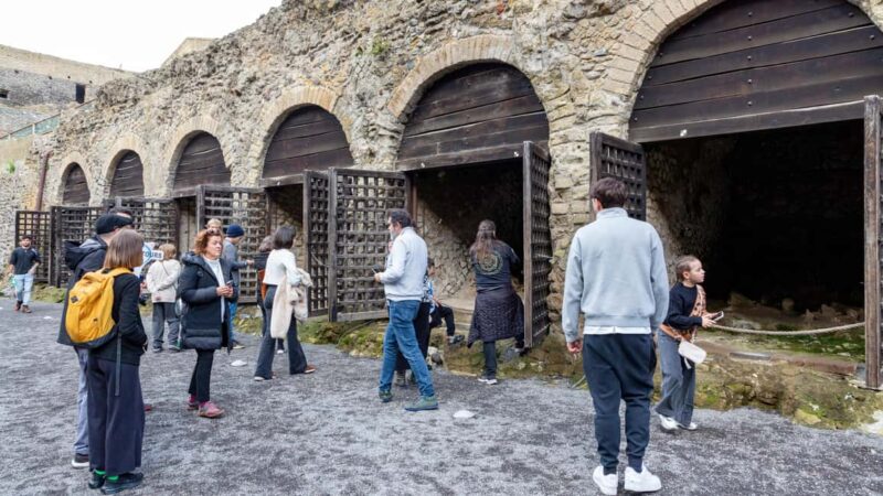 From Naples: Herculaneum Skip-the-Line Guided Tour - Ideal Audience for This Tour