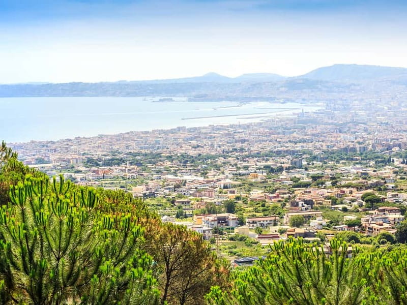 From Naples or Pompeii: Vesuvius Easy Tour - The Views from Vesuvius and the Surrounding Landscape