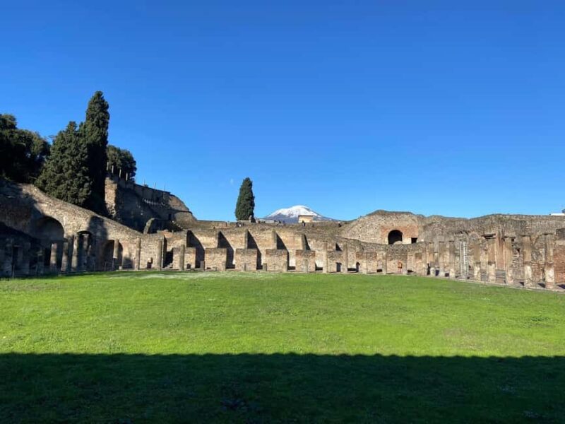 From Naples or Sorrento: Pompei Half-Day Tour - The Experience of the Tour Guides
