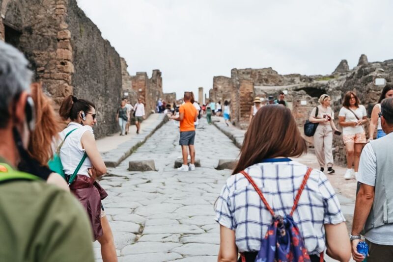 From Naples or Sorrento: Pompei Half-Day Tour - Accessibility and Physical Considerations