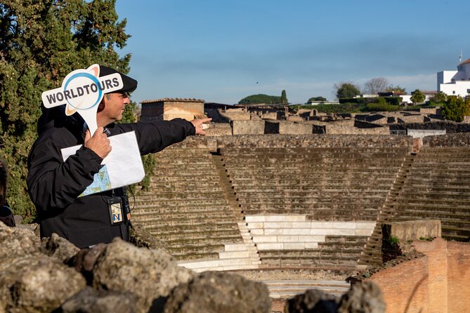 From Naples: Pompei and Sorrento with lunch - Visiting the Vineyards on Mount Vesuvius