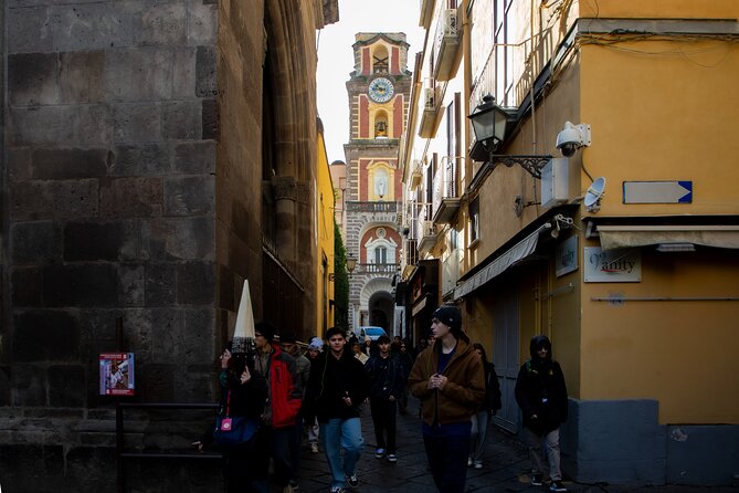 From Naples: Pompei and Sorrento with lunch - Logistics, Group Size, and Planning Tips
