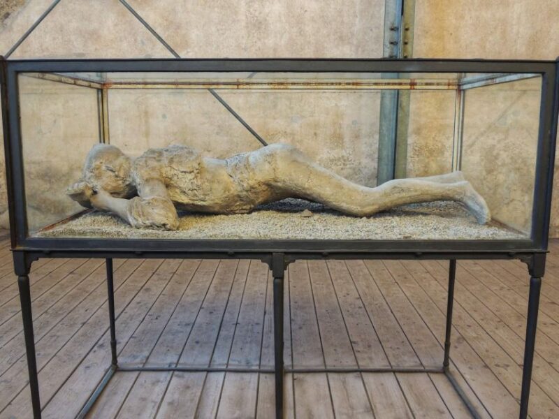 From Naples: Pompeii and Herculaneum Half-Day Private Trip - Discovering Herculaneum’s Wealth and Preservation