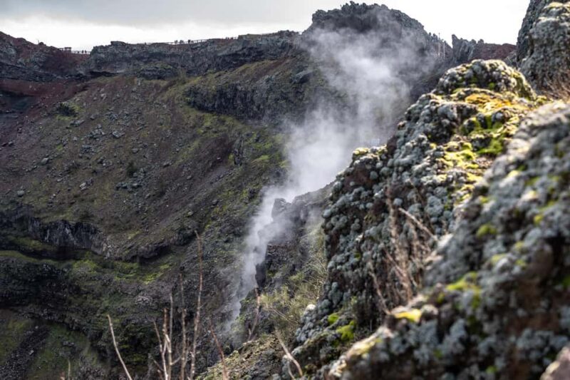 From Naples: Pompeii and Vesuvius Guided Day Trip with Lunch - Climb Mount Vesuvius for Stunning Panoramas