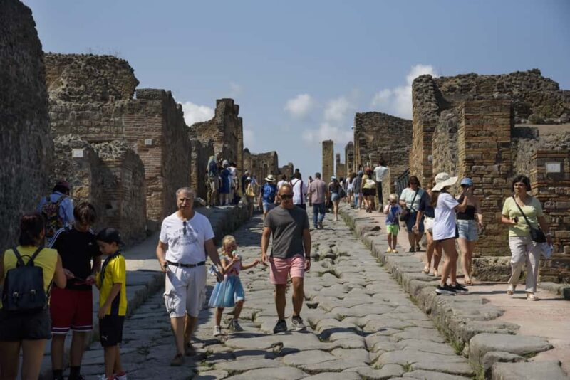From Naples: Pompeii and Vesuvius Guided Day Trip with Lunch - Guide Quality and Highlights from Reviews