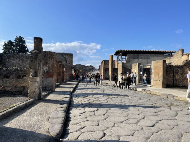 From Naples: Pompeii Guided Tour with Skip-the-Line Tickets - Engaging Guides Bring Pompeii’s Past to Life