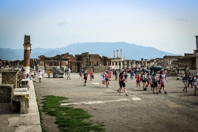 From Naples: Pompeii private tour with lunch at the slopes of Mt Vesuvius - Explore Pompeii and Mount Vesuvius with Comfort and Convenience