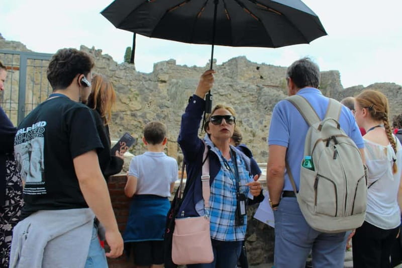 From Naples: Pompeii Tour with Guide, Driver & Ticket - Key Points
