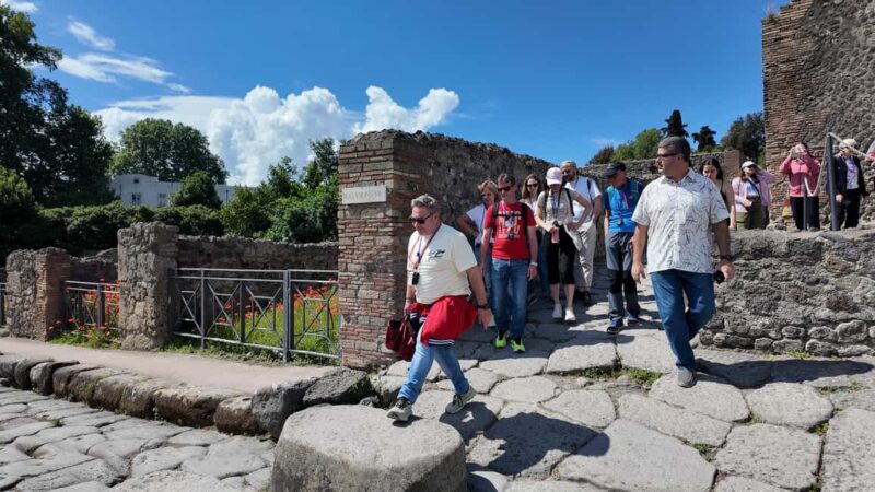 From Naples Port: Pompeii Guided Walking tour or Audioguide - Key Points
