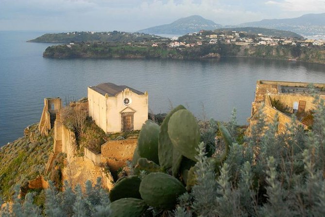 From Naples: Procida Island Day Trip with Lunch - Key Points