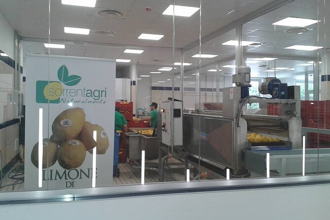 From Naples to Sorrento, Positano, Amalfi and Ravello Tour - Amalfi: The Historic Seaside Town