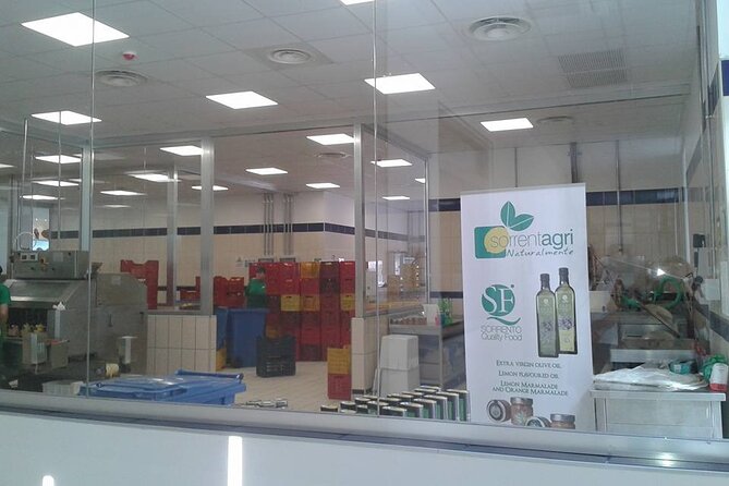 From Naples to Sorrento, Positano, Amalfi and Ravello Tour - Practical Details: Transport, Group Size, and Flexibility