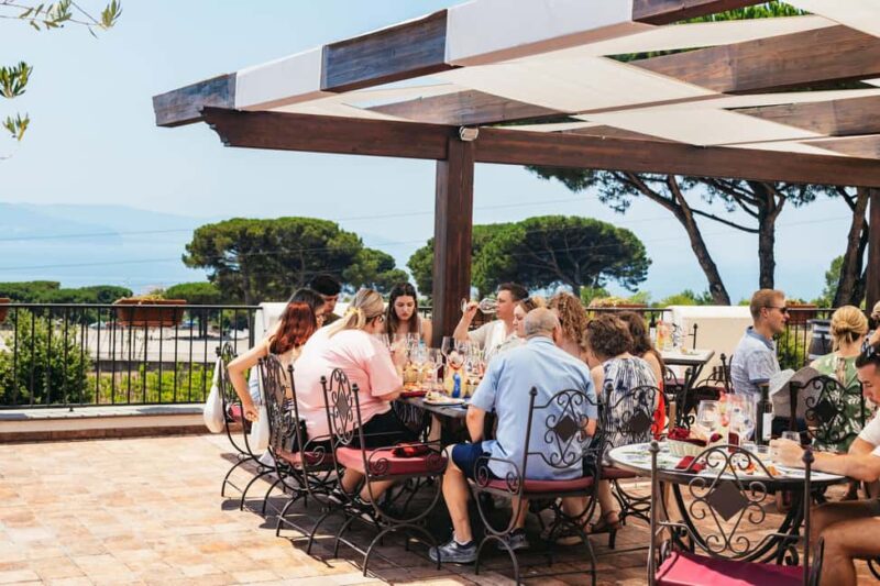 From Naples: Wine Tasting Tour on Vesuvius Slopes with Lunch - Visiting Mount Vesuvius: The Vineyard and Scenic Views