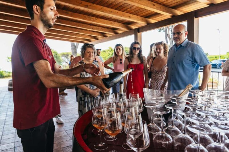 From Naples: Wine Tasting Tour on Vesuvius Slopes with Lunch - The Guides and Transportation: Friendly and Informative
